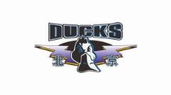 主場難擋三分雨 北京隊(duì)三分命中率僅14%