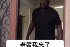 大鯊魚終于入手了一輛適合自己尺寸的汽車，奧胖：我太難了