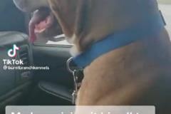 美媒打趣：這是主場(chǎng)G1輸給步行者后，騎士現(xiàn)在的內(nèi)心活動(dòng)